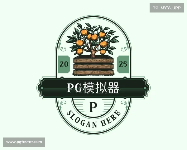 了解pg模拟器